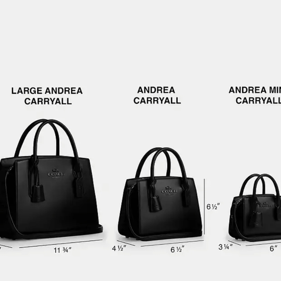 NEW! Andrea Carryall in Signature Canvas, CP080 - Picture 4 of 8